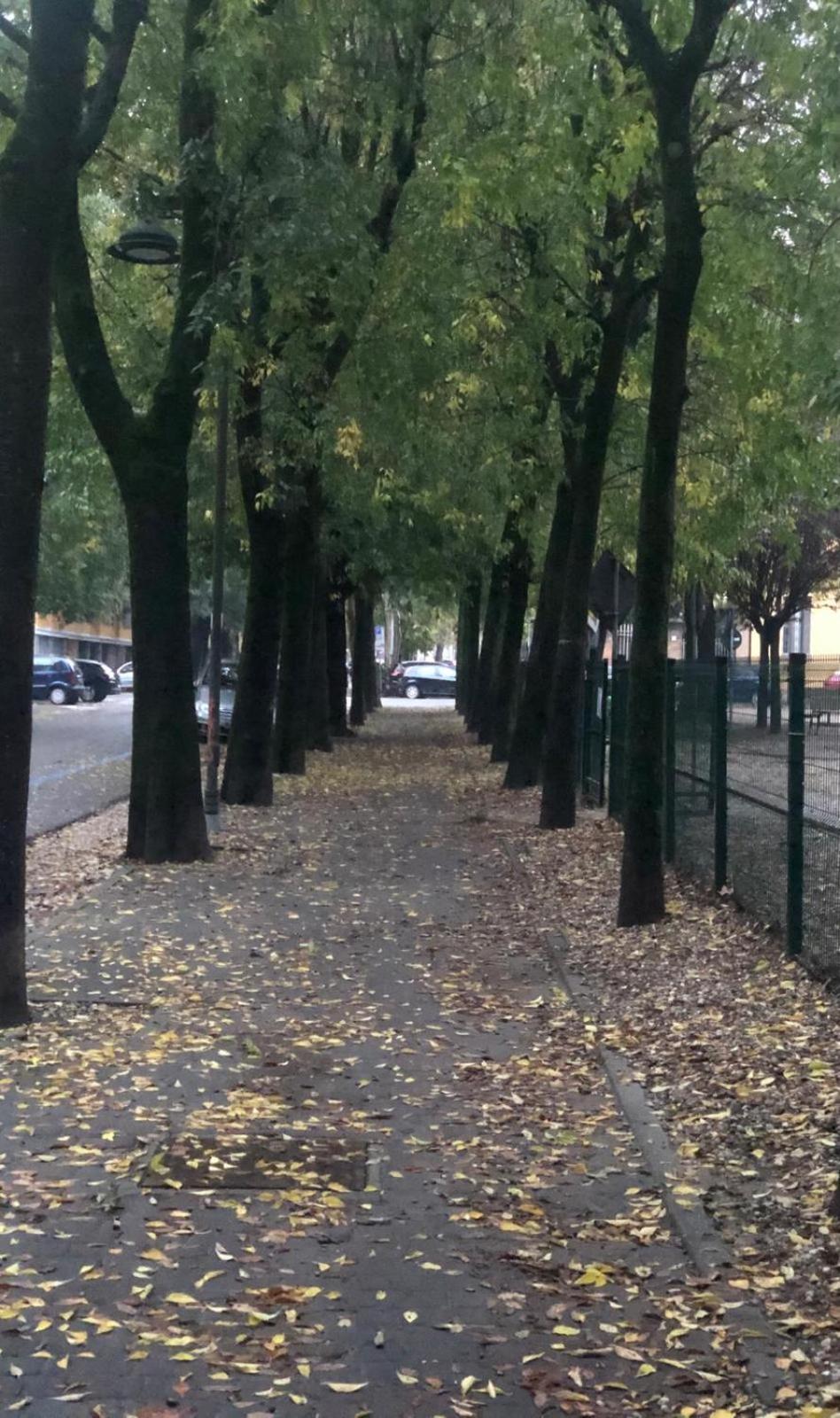 Casa Polly 2 - Ampio E Comodo Appartamento A Вогера Экстерьер фото